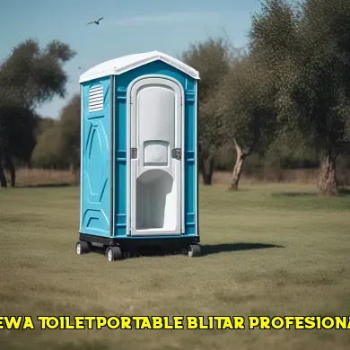 sewa toilet portable blitar profesional